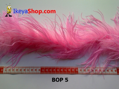 bulu ostrich BOP 5   feather  large2